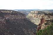 canyon shot, from Square Tower overlook